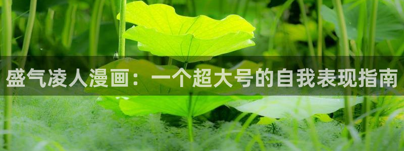 羞羞漫画网页入：盛气凌人漫画：一个超大号的自我表现指南