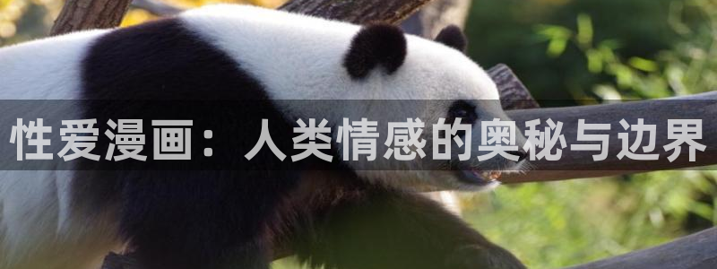 羞羞漫画免费漫画页面在线看漫画：性爱漫画：人类情感的奥秘与边界